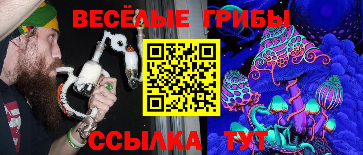 Кировск  Псилоцибиновые грибы Psilocybe  Псилоцибиновые грибы мухоморы  Вход с VPN 